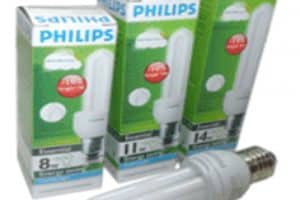 PHILIPS PLC Essential 2U 14 Watt