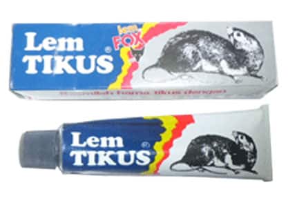 081809595918 (XL) | Harga Lem Tikus, Merk Lem Tikus, Lem Tikus FOX