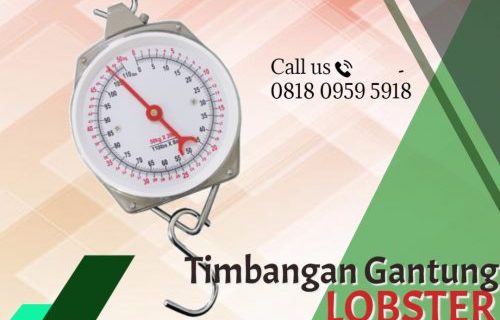 Timbangan Gantung 50 kg “LOBSTER” (141)