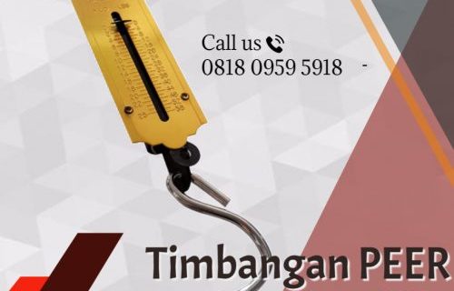Timbangan peer 25 kg LOBSTER (141)