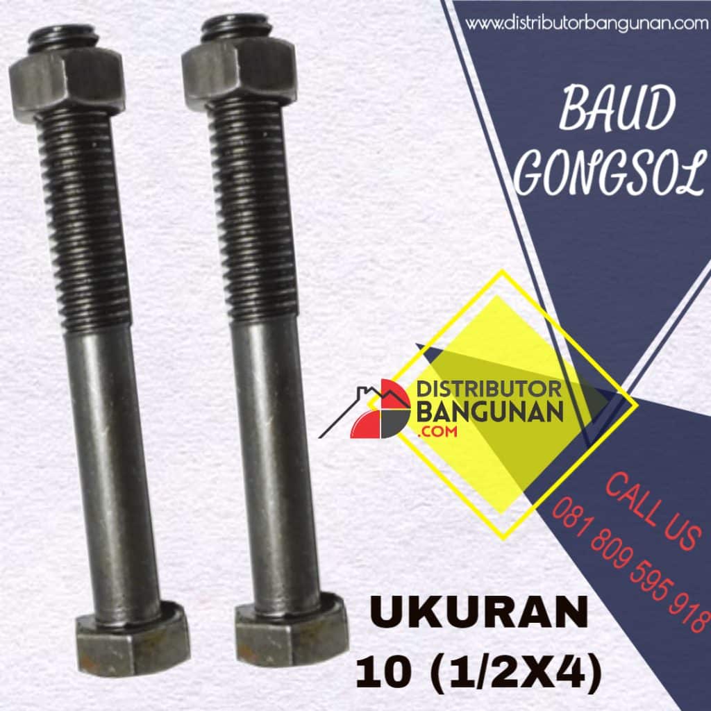 BAUD GONGSOL UK 101PER2X4