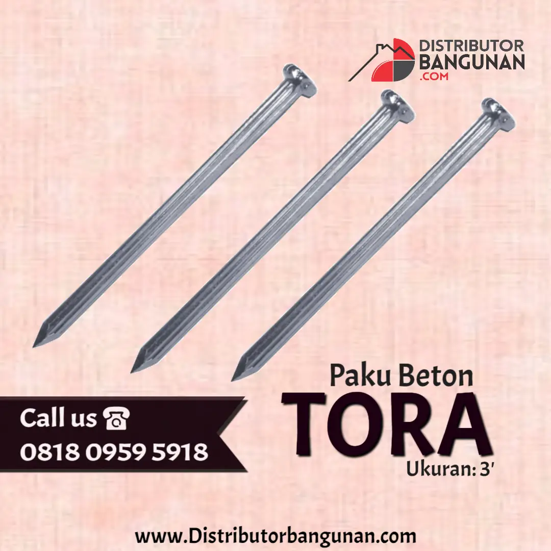 Paku Beton 3' "TORA"