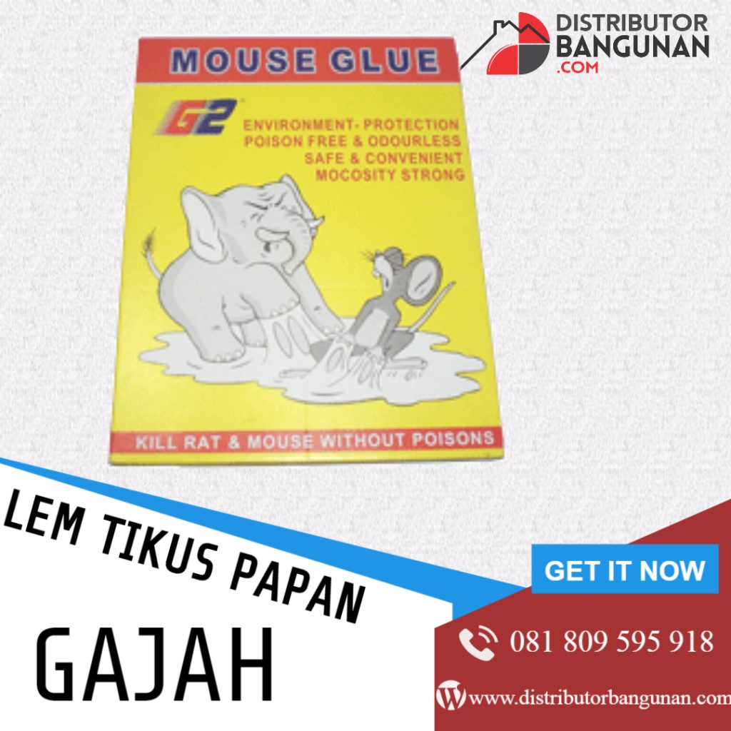 LEM TIKUS PAPAN GAJAH