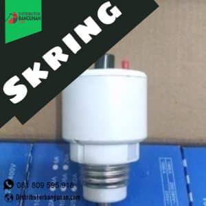 Skring e1511853798483