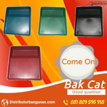 Bak Cat e1512194720602