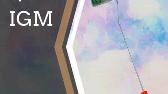 Kuas Roll Kapal Bulu IGM (81)