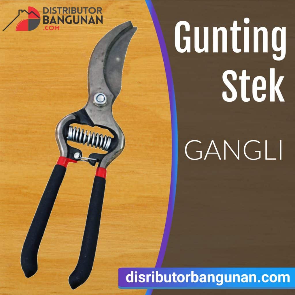 Gunting Stek GANGLI