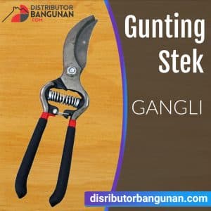 Gunting Stek GANGLI