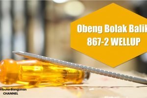 Obeng Bolak Balik 867-2 WELLUP