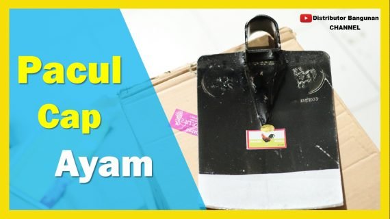 Pacul Cap Ayam