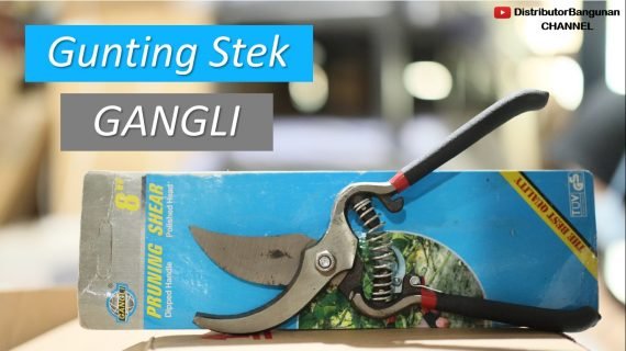 Gunting Stek GANGLI
