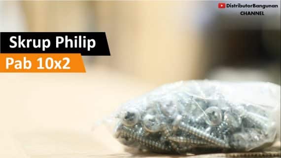 Skrup Philip Pab 10×2