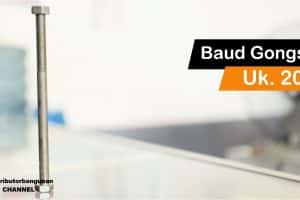Baud Gongsol Uk. 20