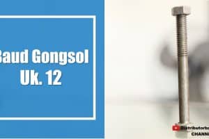 Baud Gongsol Uk. 12