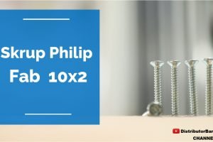 Skrup Philip Fab 10×2