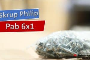 Skrup Philip Pab 6×1