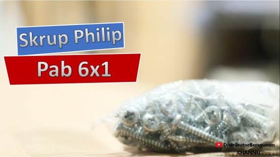 Skrup Philip Pab 6×1