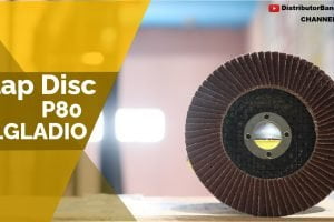 Flap Disc P80 ELGLADIO