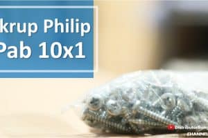 Skrup Philip Pab 10×1