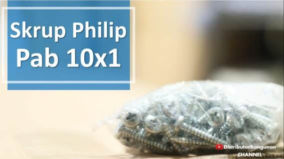 Skrup Philip Pab 10×1