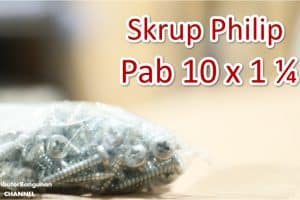 Skrup Philip Pab 10 x 1 1/4