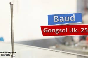 Baud Gongsol Uk. 25