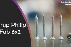 Skrup Philip Fab 6 x 2