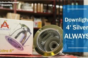 Downlight 4′ Silver ALWAYS