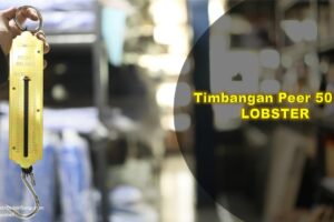 Toko Bangunan Jual Bahan Bangunan, Jual Timbangan Peer Di Bandung, Timbangan Peer 50 Kg LOBSTER