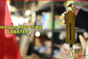 Toko Bangunan Jual Bahan Bangunan, Jual Timbangan Peer Di Bandung, Timbangan Peer 25 Kg LOBSTER