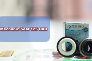 Toko Bangunan Jual Bahan Bangunan, Jual Mechanic Seal Di Bandung, Mechanic Seal 125 DAB