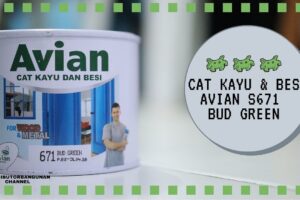 Distributor Cat Avian, Jual Cat Avian Di Bandung, Cat Kayu & Besi Avian S671 Bud Green 500 cc