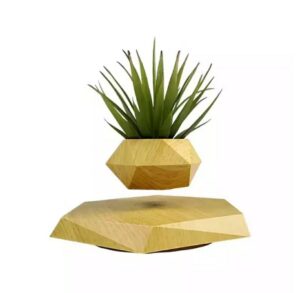 WhatsApp Image 2025 04 14 at 16.48.45